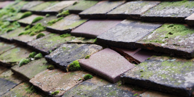 Broomhill roof repair costs